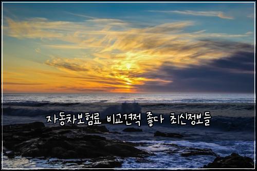 μλ차보νλ£ λΉκ΅κ²¬μ μ’λ€ μ΅μ μ 보λ€