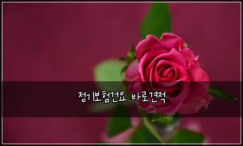 정기보험건요 바로견적