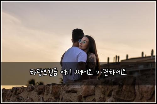 차량보험금 여기 쩌네요 마련하세요