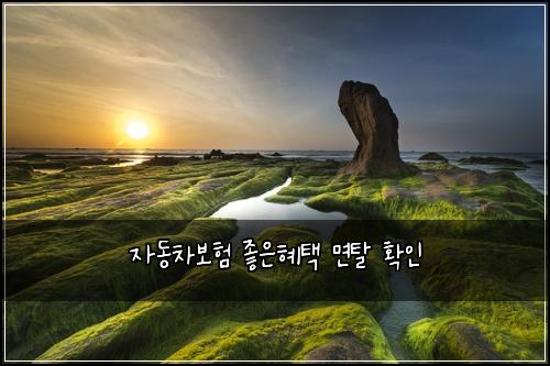 자동차보험 좋은혜택  면탈 확인