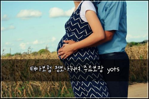 ํ์๋ณดํ ์ ๋ณด๋๋ ์ฌ ์ฃผ์๋ณด์ฅ yots