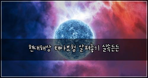 현대해상 태아보험 살펴놓기  실속든든
