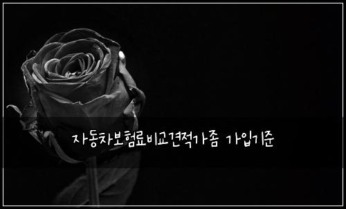 자동차보험료비교견적가좀 가입기준