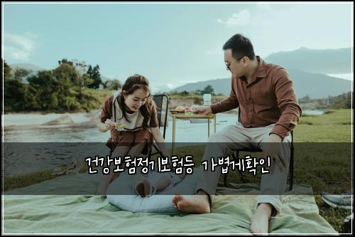 건강보험정기보험등 가볍게확인