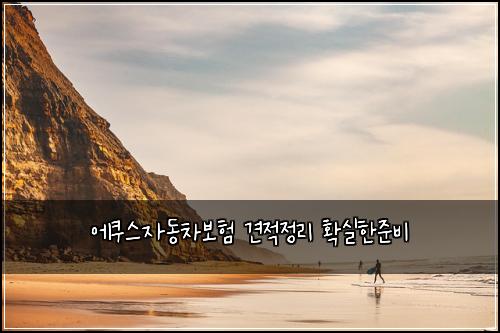 에쿠스자동차보험 견적정리  확실한준비