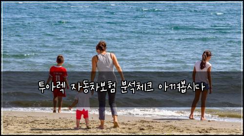 투아렉 자동차보험 분석체크  아껴봅시다