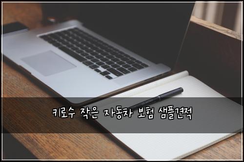 ํค๋ก์ ์์ ์๋์ฐจ ๋ณดํ ์ํ๊ฒฌ์ 