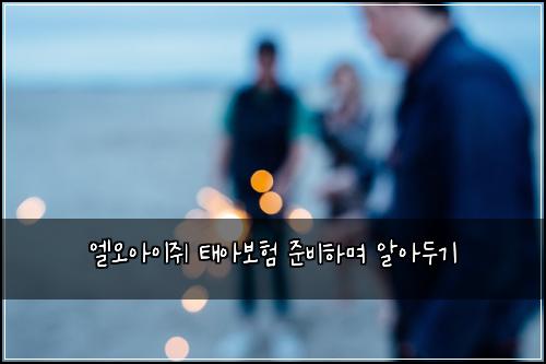엘오아이쥐 태아보험 준비하며 알아두기
