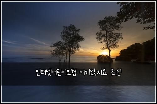 인터넷어린이보험 여기있지요  최신