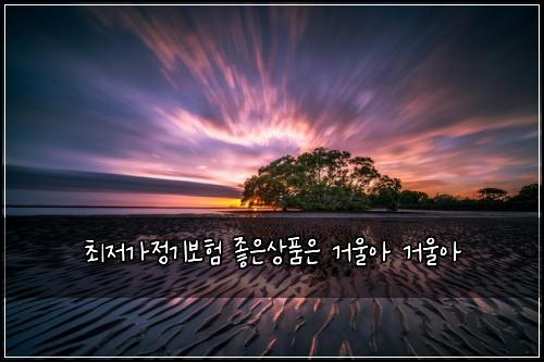 최저가정기보험 좋은상품은  거울아 거울아