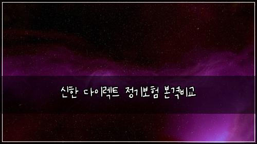 신한 다이렉트 정기보험 본격비교 