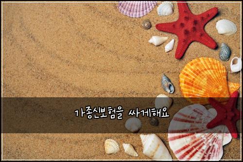 가종신보험을 싸게해요