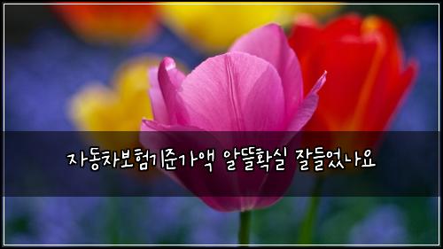 자동차보험기준가액 알뜰확실 잘들었나요