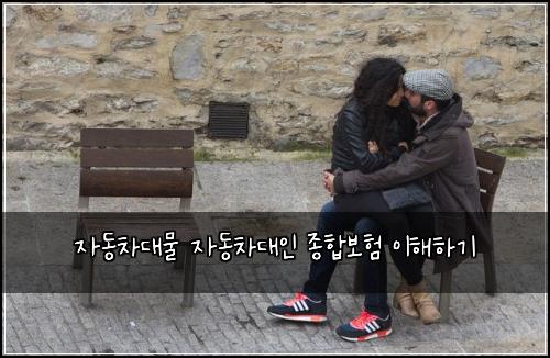 자동차대물 자동차대인 종합보험 이해하기