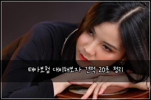 태아보험 대비해보자  견적 20초 정리