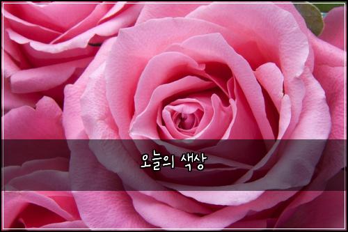 오늘의 색상