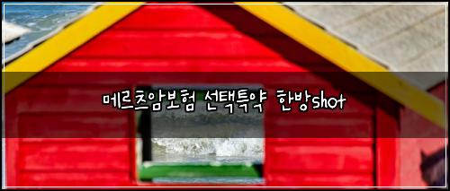 메르츠암보험 선택특약  한방shot
