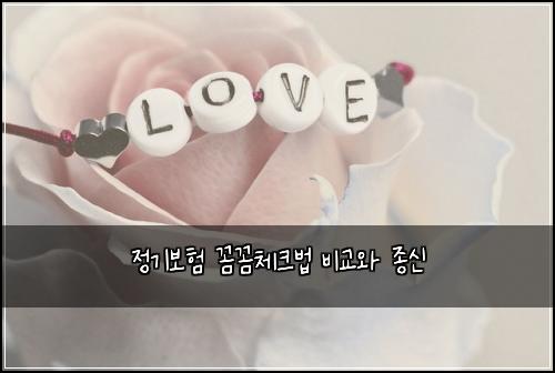 정기보험 꼼꼼체크법  비교와 종신