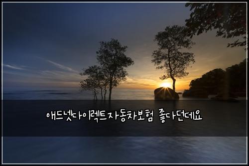 애드넷다이렉트자동차보험 좋다던데요 