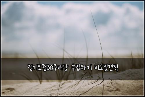 ์ ๊ธฐ๋ณดํ30๋ฌด๋ฐฐ๋น ์์งํ๊ธฐ ๋น๊ต๋ฐ๊ฒฌ์ 
