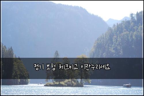 정기 보험 체크비교  이란누리세요