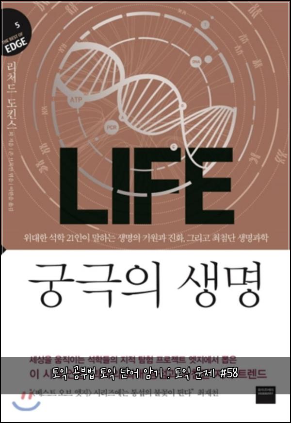 토익 공부법 토익 단어 암기 : 토익 문제 #58