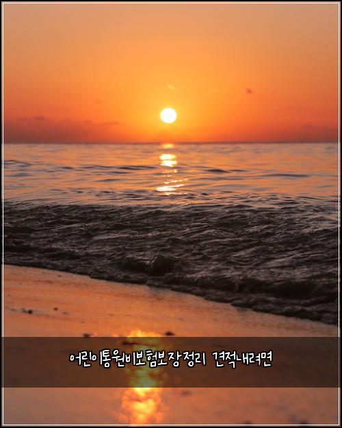 어린이통원비보험보장정리 견적내려면