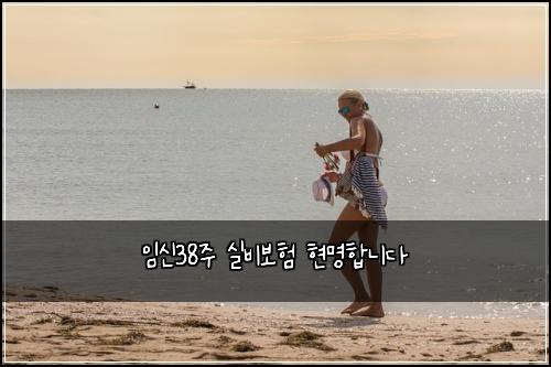 임신38주 실비보험 현명합니다 