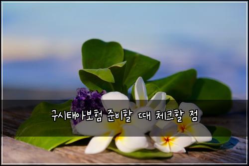 구시태아보험 준비할 때 체크할 점