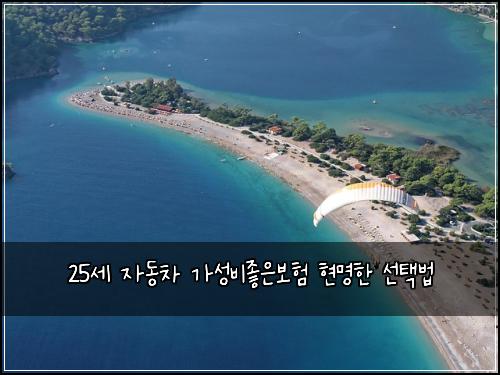 25세 자동차 가성비좋은보험 현명한 선택법