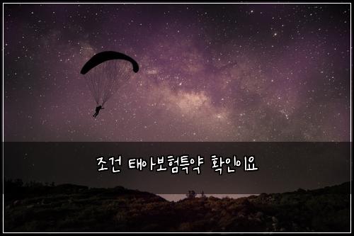 조건 태아보험특약 확인이요