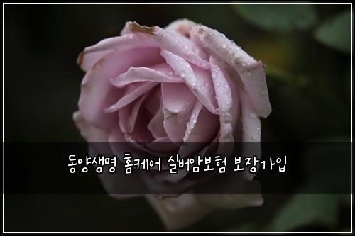 동양생명 홈케어 실버암보험 보장가입 