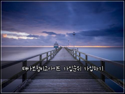 태아보험비교사이트 가입순위 가입하기