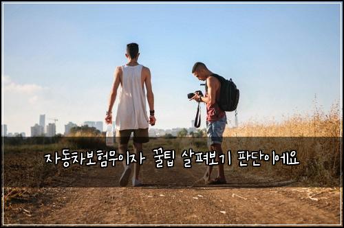 자동차보험무이자 꿀팁 살펴보기 판단이에요