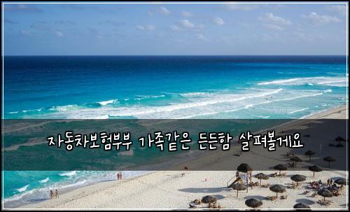 자동차보험부부 가족같은 든든함 살펴볼게요
