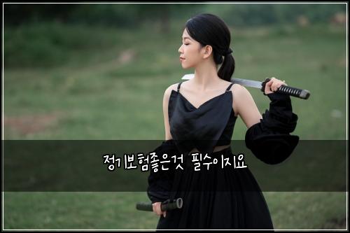 정기보험좋은것 필수이지요