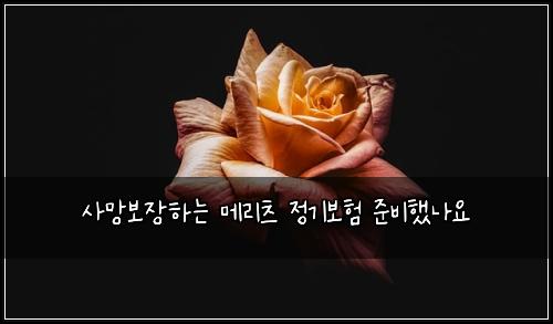 사망보장하는 메리츠 정기보험 준비했나요