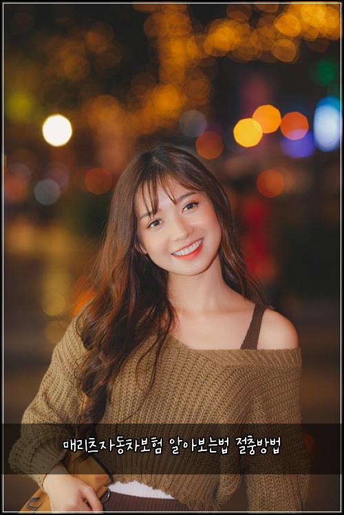 매리츠자동차보험 알아보는법  절충방법