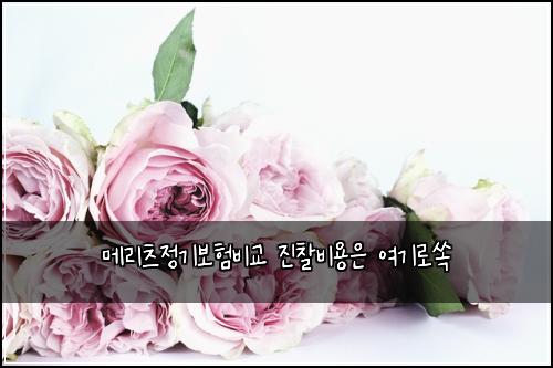 메리츠정기보험비교 진찰비용은 여기로쏙