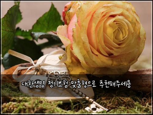 대한생명 정기보험 맞춤형으로  추천해주세용