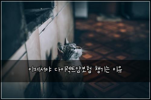 이제서야 다이렉트암보험 챙기는 이유