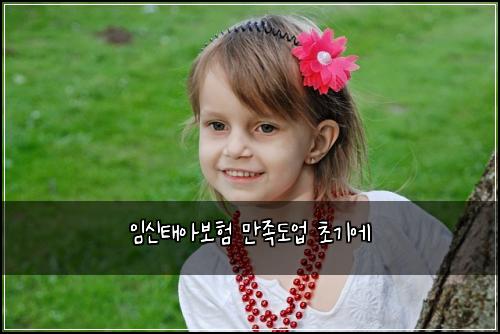 임신태아보험 만족도업  초기에