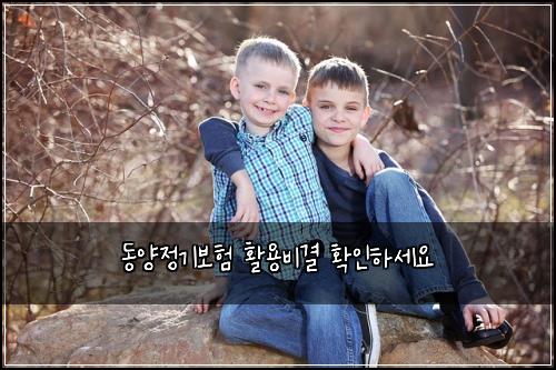๋์์ ๊ธฐ๋ณดํ ํ์ฉ๋น๊ฒฐ ํ์ธํ์ธ์