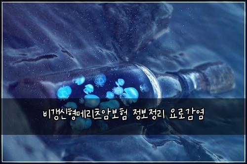 비갱신형메리츠암보험 정보정리  요로감염