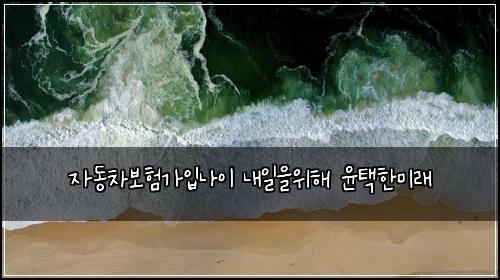 ์๋์ฐจ๋ณดํ๊ฐ์
๋์ด ๋ด์ผ์์ํด ์คํํ๋ฏธ๋