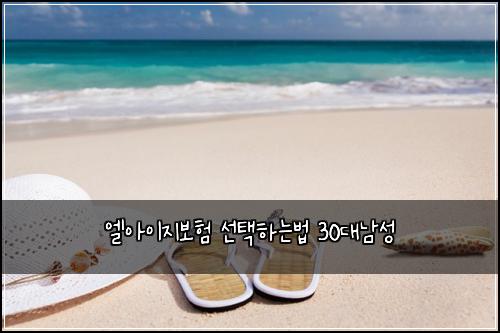 엘아이지보험 선택하는법  30대남성