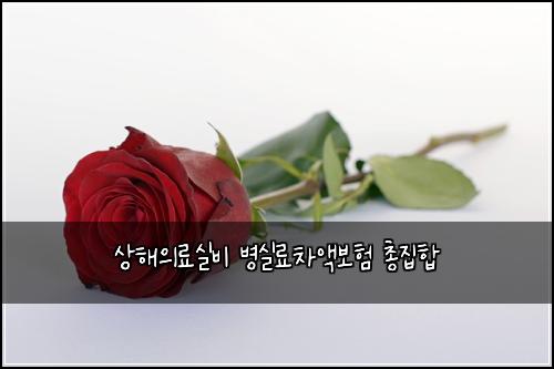 상해의료실비 병실료차액보험 총집합 