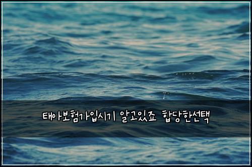 태아보험가입시기 알고있죠 합당한선택