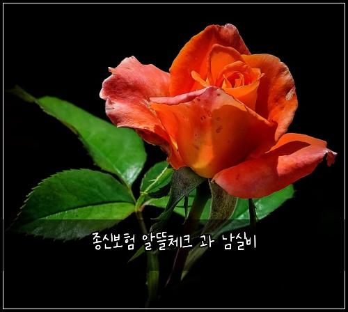 ์ข
์ ๋ณดํ ์๋ฐ์ฒดํฌ ๊ณผ ๋จ์ค๋น