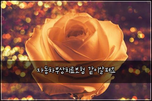 자동차부상치료보험 같이살펴요 